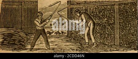 . Webster's calendar, or, The Albany, Columbia, Montgomery, and Washington almanack, for the year of our Lord ... . &gt; m oo GO 3DO ^D GO Prices and further particulars sent on rpplication to the manufacturers, J. TAN WORMER & CO, Cor, Broadway & Arch St., Atony, B.T. O. MTJ1TSELL, O-EnSTEK.^.L BOOK! BIILTIDJEIR,,82 STATE STREET, ALBANY, N. Y. Books of all descriptions bound in any style.My extra half calf (marble edge) bindings for Libraries, defies com-petition in reasonableness of price and beauty of finish.Designs and samples for all works issued in numbers.Pamphlets in a neat and durable Stock Photo