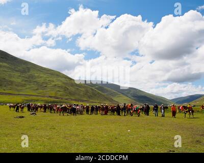 Kham men dressed up for the yearly entertaining house racing festival in near Litang city. Stock Photo