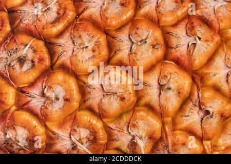 Big appetizing pineapple abstract orange texture background, close up shot Stock Photo