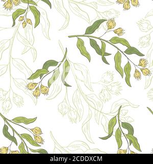 Eucalyptus graphic color seamless pattern background sketch illustration vector Stock Vector
