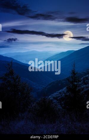 spruce forest on the hillside meadow at night. colorful grass in autumn. hills rolling in to the distance in full moon light. cloudy day Stock Photo