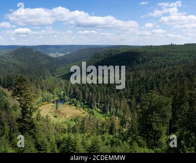 Lake Ellbachsee, Black Forest, Germany Stock Photo