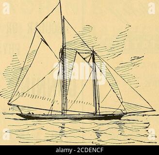 Pilgrim, Pilgrim Yacht, Americas Cup Races Drawing by Litz