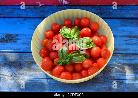 Bowl of fresh ripe red cherry tomatoes and basil leaves on a rustic blue wood table viewed top down Stock Photo