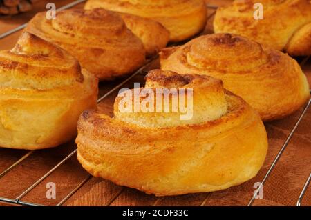 Fresh baked cinnamon rolls cooling on a wire rack Stock Photo