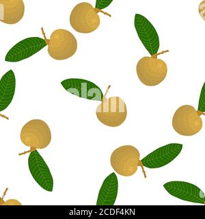 Illustration on theme big colored seamless longan, bright fruit pattern for seal. Fruit pattern consisting of beautiful seamless repeat longan. Simple Stock Vector