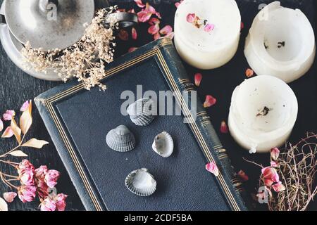 Divination using sea shells in hoodoo witchcraft practice on wiccan witch altar. Four seashells laying on blue vintage book Stock Photo