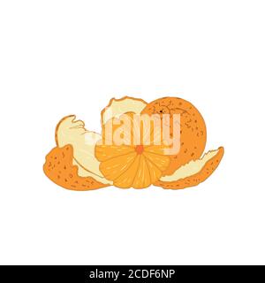 set with tangerines isolated on a white background. Stock Vector