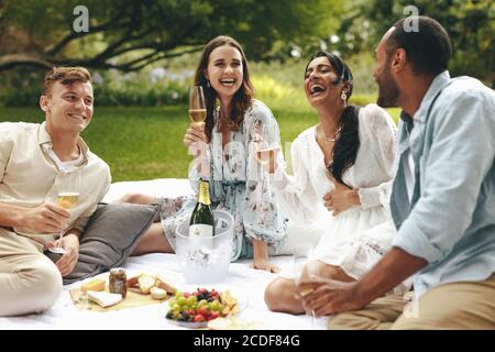 Group of friends having a great time on picnic at the park. Happy young people sitting at the park talking and smiling with champagne glasses in hand. Stock Photo