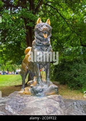 The bronze statue of sled dog Balto by Frederick Roth, Central Park, Manhattan, New York City, New York, USA Stock Photo