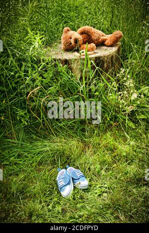 Little stuff teddy bear laying on an  tree stump Stock Photo
