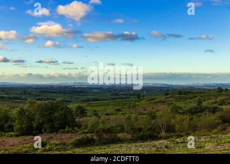 Dawn over Ashdown Forest from Stone Hill in East Sussex south east England with the South Downs on the horizon Stock Photo
