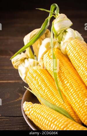 Fresh crop of corn, organic corn cob with leaves on dark wooden background Stock Photo