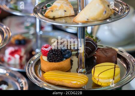 Delicious Mini Desserts Served on a Tray Stock Photo