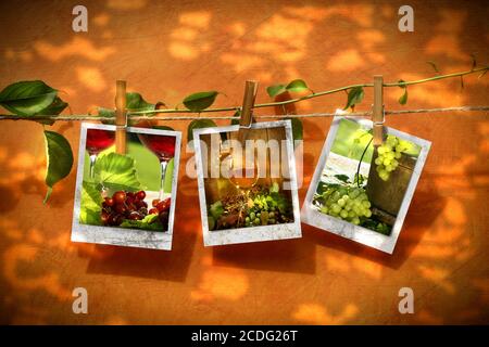 Pictures pinned on clothesline with reflection of summer leaves Stock Photo