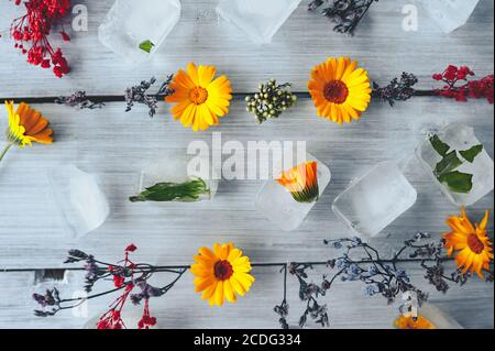 frozen ice cubes with orange calendula flower and green leaves and dry wild herbs on a light wooden surface, cosmetic layout Stock Photo