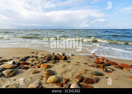 Stones on the beach Stock Photo