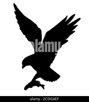 vector drawing of the ravenous bird on white background Stock Photo