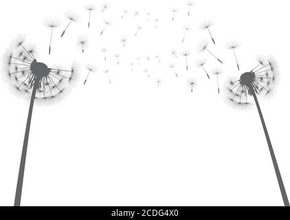 Late Summer and Flying Seeds. Dandelion flower. Vector outline illustration. Stock Vector