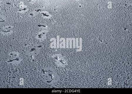 Water drops on the new asphalt road surface. Stock Photo