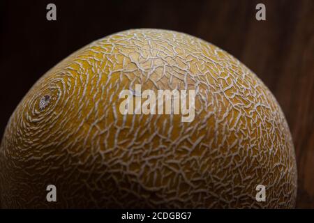 A close-up of the rough netted rind of a Galia melon. Stock Photo