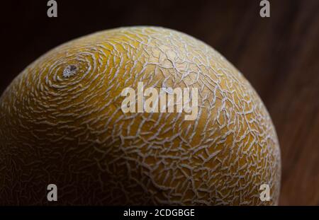 A close-up of the rough netted rind of a Galia melon.