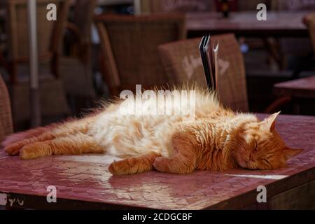 Ginger cat sleeping on a mosaic table of a street cafe Stock Photo