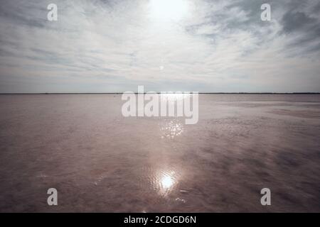 The salty shore of the lake in Altai.Russia. The water looks pink because of the special Artemia crustaceans Stock Photo