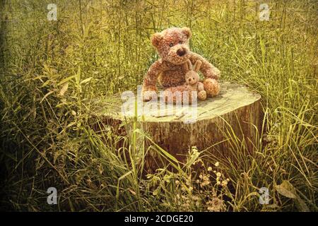 Small little bears on old wooden stump in grass Stock Photo