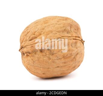 walnut on white background Stock Photo