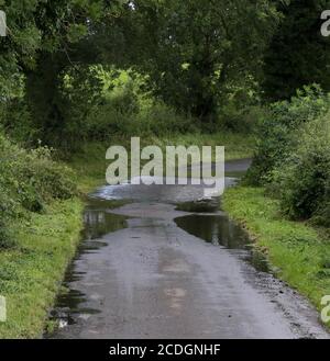 County Down, Northern Ireland. 28 Aug 2020. UK weather - a dry day with cooler temperatures as a strong northerly breeze sweeps across the country. A welcome change after all the rain that has fallen in the last 48 hours. Flooding on a country road as water runs off adjoining field.  Credit: CAZIMB/Alamy Live News. Stock Photo