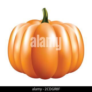 Halloween Pumpkin isolated on white background.Pumpkin with 3d render. Stock Vector