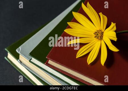A yellow flower lies on a stack of books on a dark background. Autumn cozy still life. Autumn time concept. Close up. Selective focus. Copy space. Stock Photo