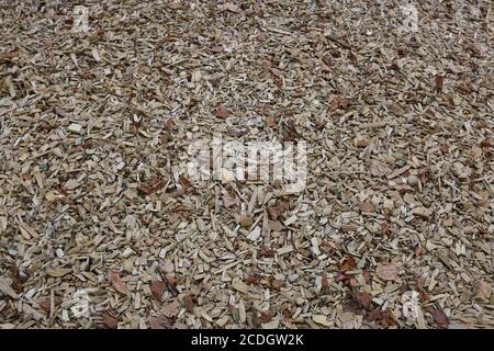 Wooden chips covering playground with jungle gym and slide in Freiburg im Breisgau in Germany. Chipped wood pieces can be used as background. Stock Photo