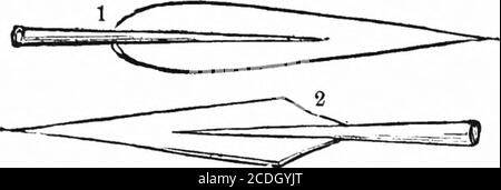 . A dictionary of religious knowledge [electronic resource]: for popular and professional use, comprising full information on Biblical, theological, and ecclesiastical subjects . Bowmen and Spearmen. head made of metal. This kind of spearSaul was in the habit of using; and it wasthis, called javelin in our version, withwhich he tried to pin David to the walL. 32vC^ Stock Photo