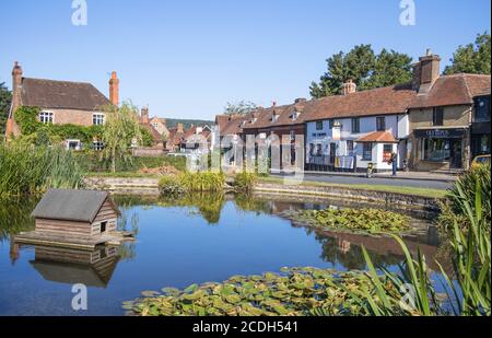 the village pond of otford near sevenoaks kent Stock Photo