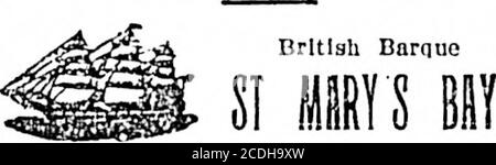 . Daily Colonist (1900-11-28) . •I-e TUOKETTS Myrtle Cut Full Flavored TUKCETrS ORINOCO. • Choice Virginia Tobacco • • o VERYMILD NOT RESPONSIBLE. FROM CAUDIFF. JAMBS MeFAItLANE, MASTER.Neither the Master nor the uiiilerslciiodwill he respousibie for aur debts coDtraotedby the crew ot the above vessel, withouttheir written authority. HUGH LOGAN & CO.. Agents. HUBEAO OF PROVINCIAL INFORMA-TION. In order that the GoverumBUt may he lupossession ot dellulte Information withwldidi to t-umd.y tliose seeiclne Investmentsin this Irovluoe. I am Instructed to InviteIiiirtleulars from tlioae who have iir Stock Photo