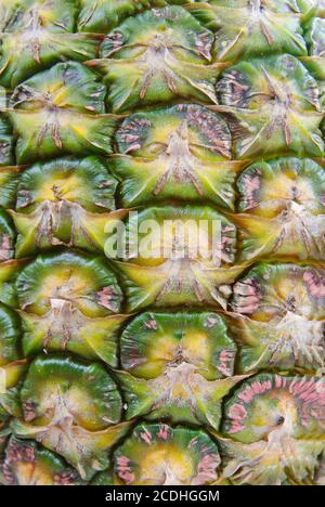Pineapple skin close up Stock Photo