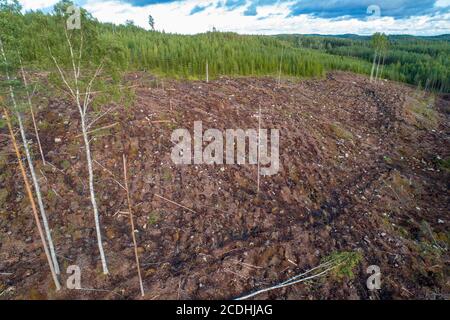 Aerial view of Finnish clear cutting area at hillside at Summer , Finland Stock Photo