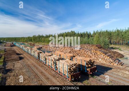 Aerial view of a railroad yard with log piles and train wagons loaded with timber for transport at Summer , Finland Stock Photo