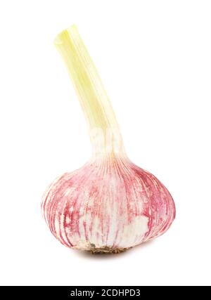 Fresh young garlic isolated on white background Stock Photo - Alamy