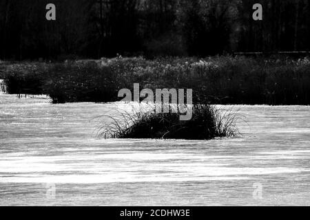 Frozen Lake in November, Turnbull Wildlife Refuge, WA Stock Photo