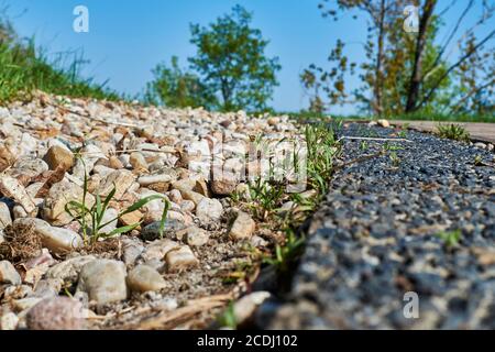 Path delimitation made of pebbles as a drain for rainwater next to a footpath in nature. Stock Photo