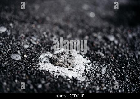 Wedding rings from white gold on black decorative stones on a blurred background. Stock Photo