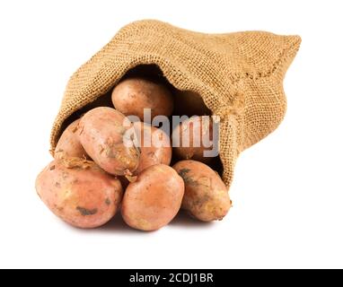 Fresh raw potatoes in burlap sack Stock Photo