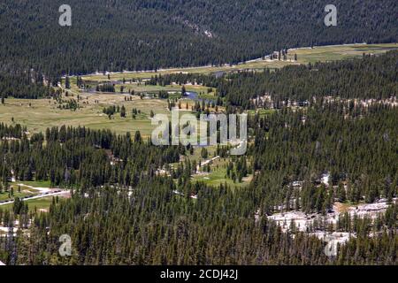 Yosemite Meadow seen from above Stock Photo