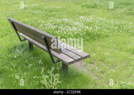 Overgrown solitary public seat / bench in a kid's playground empty of people during UK Covid lockdown. Deserted public space, empty park bench in UK. Stock Photo