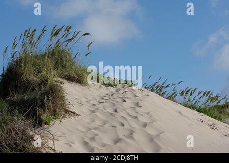 Port Mansfield, TX August 6, 2007: Sand dunes on south Padre Island, TX looking south from the Mansfield Cut.  Willacy County has talked of taking over the land owned by the Nature Conservancy, using its power of eminent domain, for tourism. ©Bob Daemmrich Stock Photo
