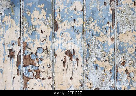 Old wooden door texture with white and blue worn paint. Stock Photo