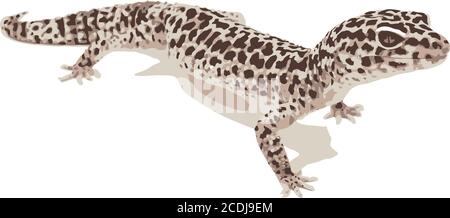 small lizard, chameleon vector illustration Stock Vector